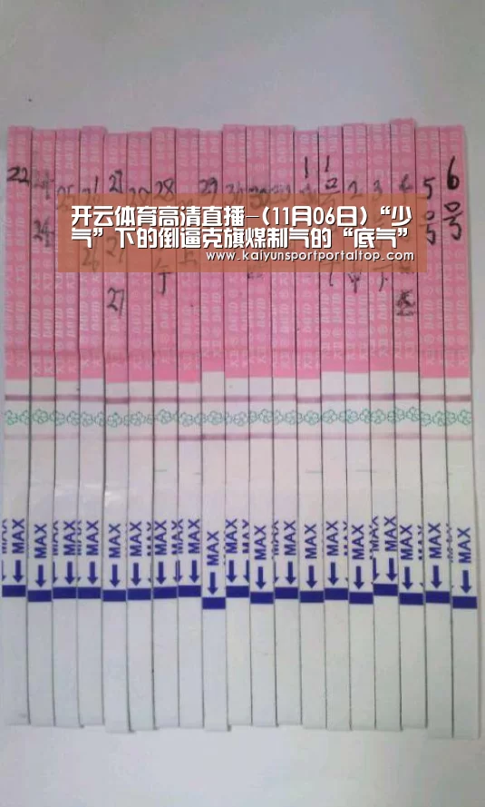 开云登录