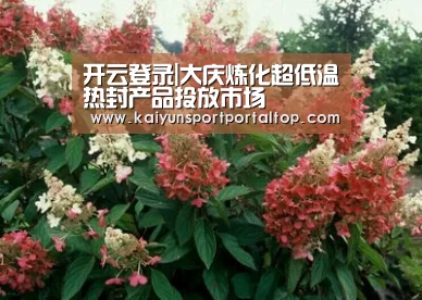 开云登录|大庆炼化超低温热封产品投放市场(图2) 开云体育官方