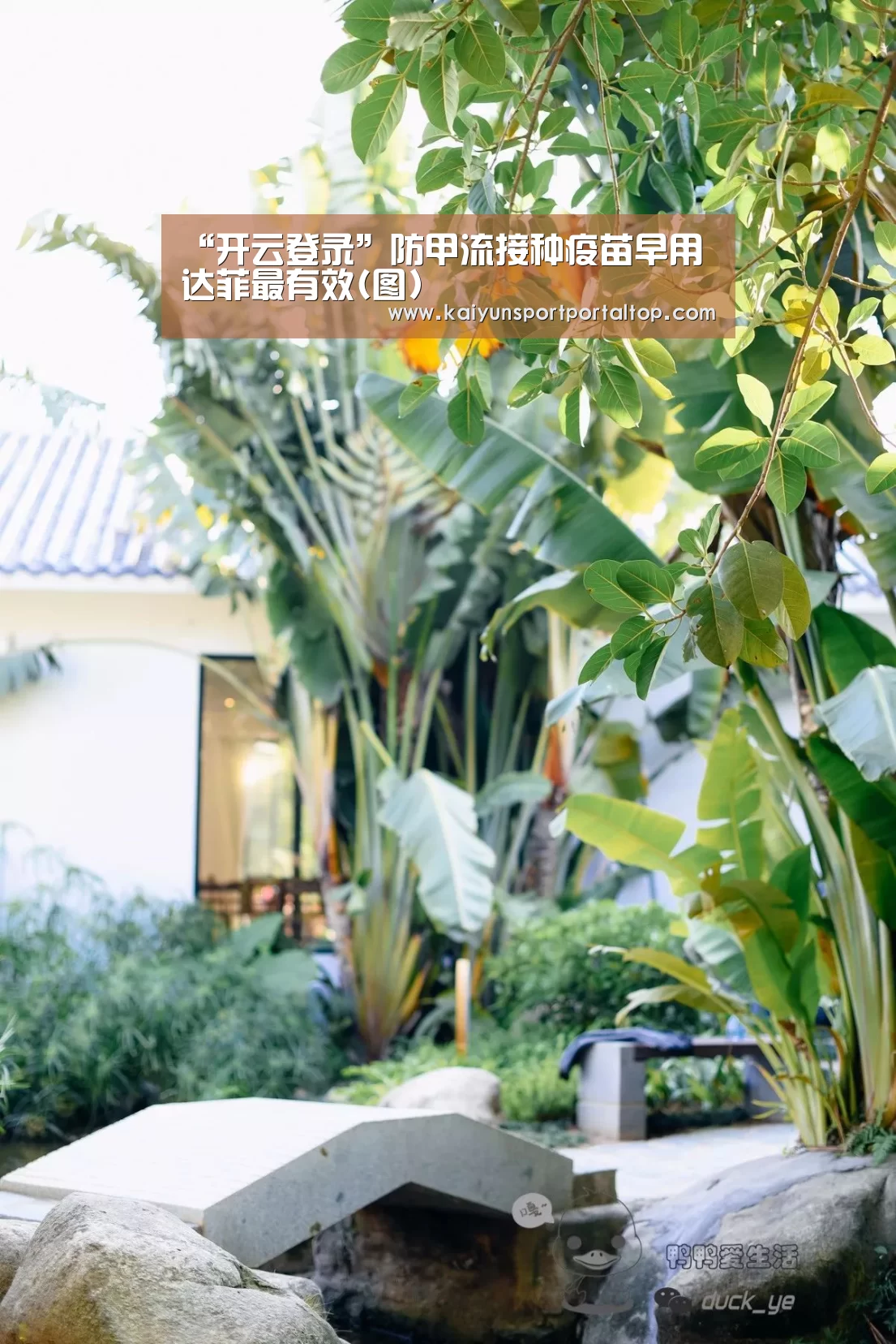 “开云登录”防甲流接种疫苗早用达菲最有效(图)(图1) 开云体育官网