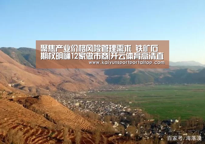 聚焦产业价格风险管理需求 铁矿石期权明确12家做市商|开云体育高清直播(图1) 开云体育官网