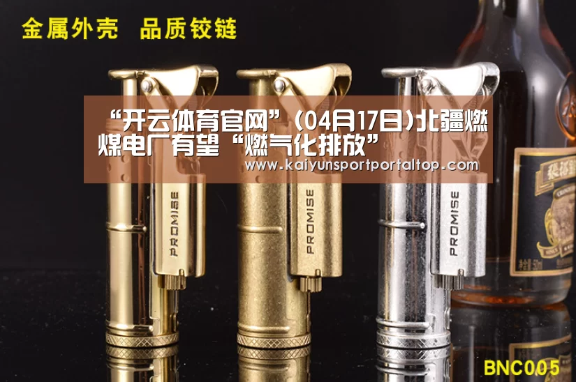 “开云体育官网”(04月17日)北疆燃煤电厂有望“燃气化排放”(图1) 开云登录