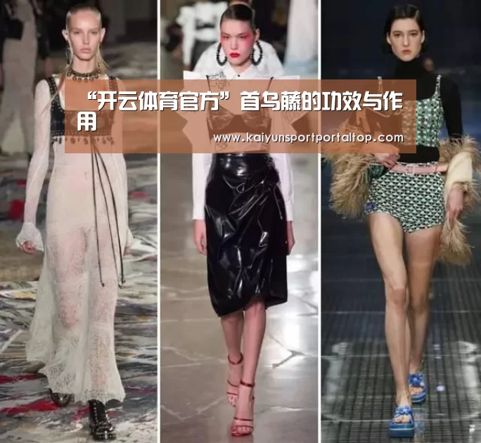 “开云体育官方”首乌藤的功效与作用(图1) 开云体育官方