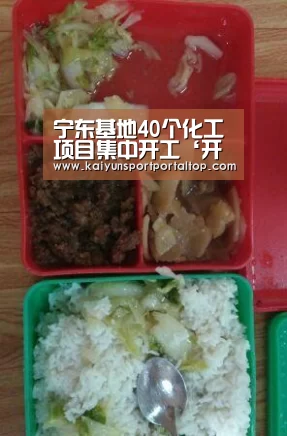 开云体育官方