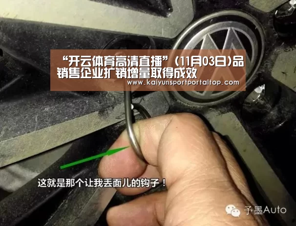 “开云体育高清直播”(11月03日)品销售企业扩销增量取得成效(图1) 开云体育官网